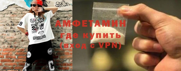 молекула духа Арсеньев