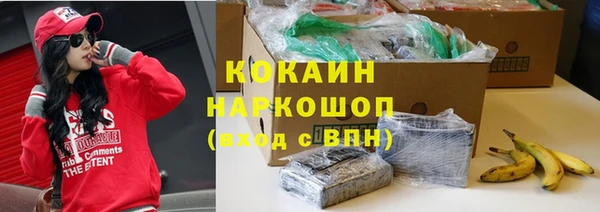 крисы Аркадак