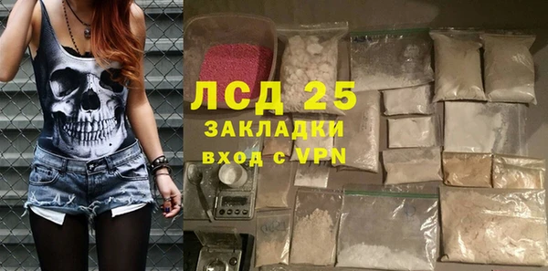 крисы Аркадак