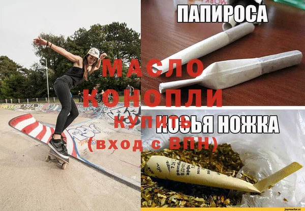 молекула духа Арсеньев