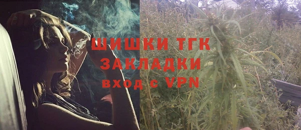 молекула духа Арсеньев