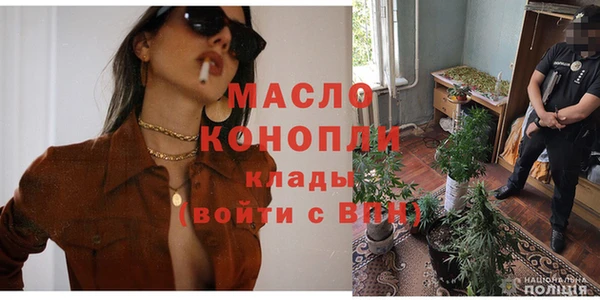 молекула духа Арсеньев