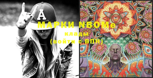 молекула духа Арсеньев