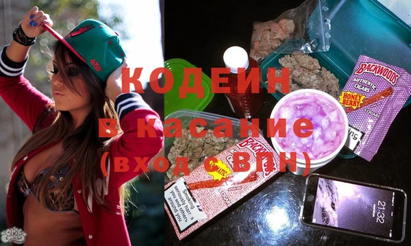 молекула духа Арсеньев