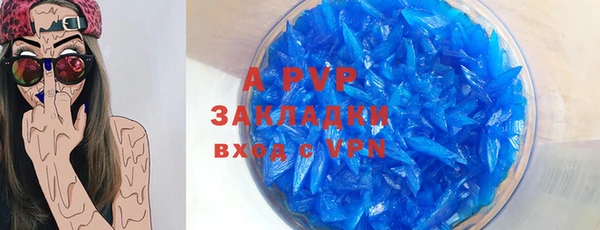 молекула духа Арсеньев