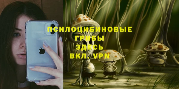 крисы Аркадак