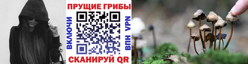 Псилоцибиновые грибы мухоморы  наркотики  Данилов 